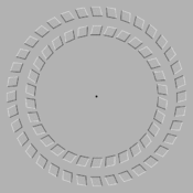 /cfdg/illusions/.png