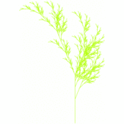 jms/lsystems1/flower2.1