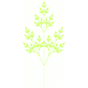 jms/lsystems1/flower3.1