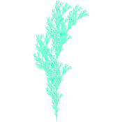 jms/lsystems1/tree2.1