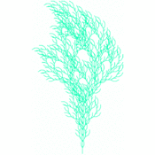 jms/lsystems1/tree3.1