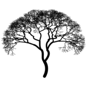 vp/fractales/arbres.10