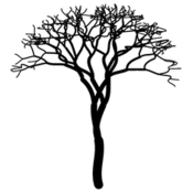 vp/fractales/arbres.12