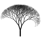 vp/fractales/arbres.4