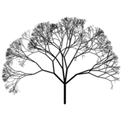 vp/fractales/arbres.5