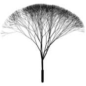 vp/fractales/arbres.6