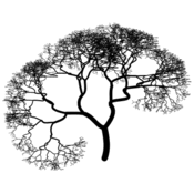 vp/fractales/arbres.8