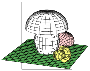 champignons_01.png