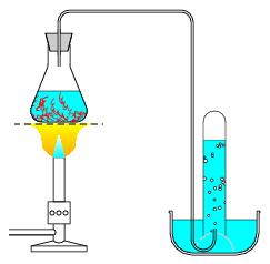 /syracuse/bbgraf/albums/chimie_02/tubeinverse_02.jpg