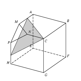 /syracuse/bbgraf/albums/sections_planes/3D_01a.jpg