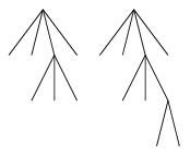 /syracuse/bbgraf/albums/tree/t01.jpg