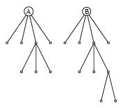 /syracuse/bbgraf/albums/tree/t02.jpg