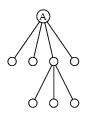 /syracuse/bbgraf/albums/tree/t03.jpg