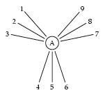 /syracuse/bbgraf/albums/tree/t10.jpg