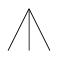 /syracuse/bbgraf/albums/tree_02/tree_01.jpg