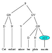 /syracuse/bbgraf/albums/tree_03/arbre_02.jpg
