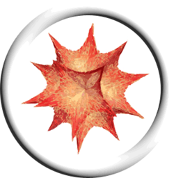 256x256/mathematica.png