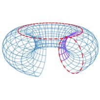 torus.xp