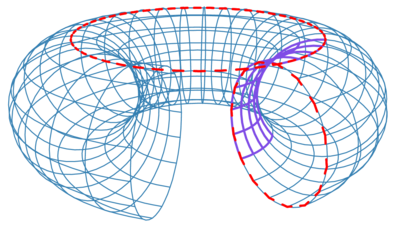 torus.xp