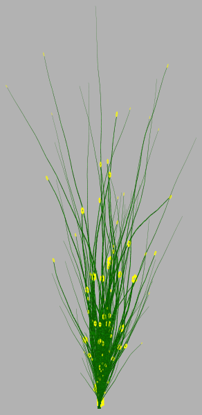 plante.cfdg