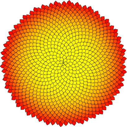 phyllo01.mp (figure 1)