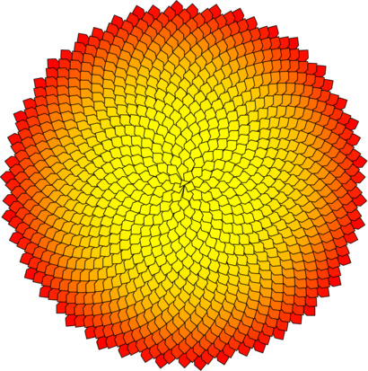 phyllo03.mp (figure 1)