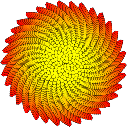 phyllo04.mp (figure 1)