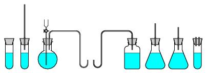 /syracuse/texpng/jpv/guide_jps/labo/bouchon_tubes.jpg