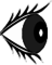Fichier png