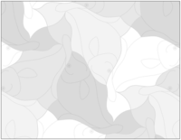 Fichier png