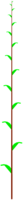 Fichier png