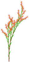 Fichier png