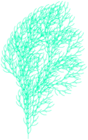 Fichier png