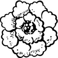 Fichier png